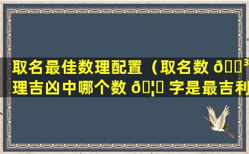 取名最佳数理配置（取名数 🌳 理吉凶中哪个数 🦍 字是最吉利的）